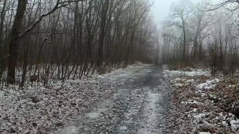 A Road Through the Snow in a Winter Day at the Forest of Strandzha Mountain Stock Footage 106348138