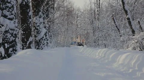 Road through snowy Park Stock-Footage 61078027