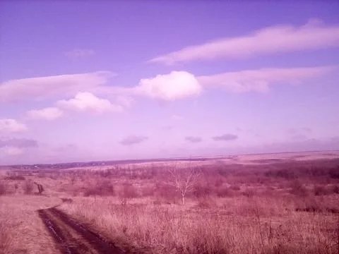 Road through a spring field Stock Photos