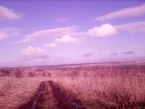 Road through a spring field Stock Photos