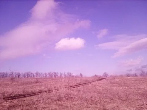 Road through a spring field Stock Photos