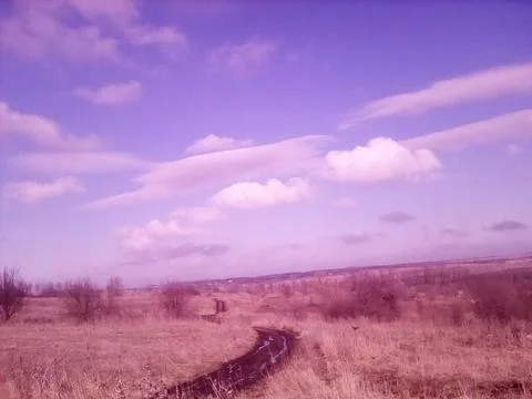 Road through a spring field Stock Photos