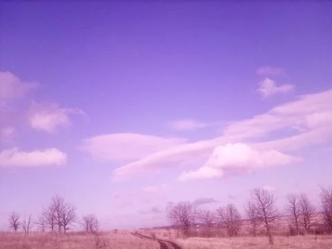 Road through a spring field Stock Photos