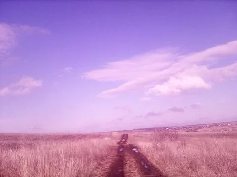 Road through a spring field Stock Photos