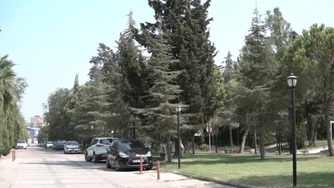 Road Through the Trees Video stock 143937307