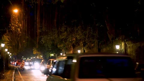 Road through the tunnel to the Ubud Stock Footage 81227964