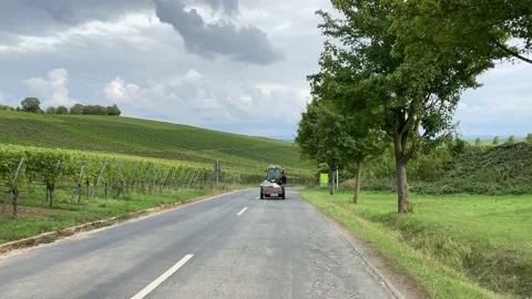 Road through the vineyards. Field workers ride on a tractor. Stock Footage 221648612