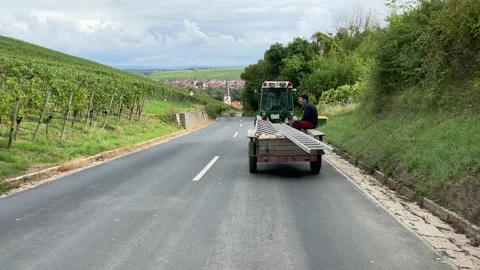 Road through the vineyards. Field workers ride on a tractor. Stock Footage 221648685