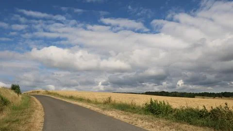Road through wheat fields 8K Stock Photos
