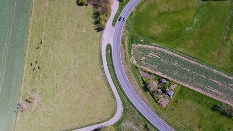 Road through wheat fields 動画素材 75164343