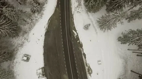 Road through winter forest Stock Footage 69191883