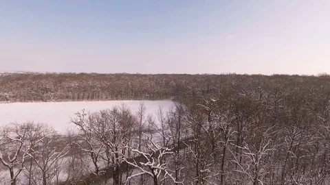 Road through winter forest Stock Footage 72745239