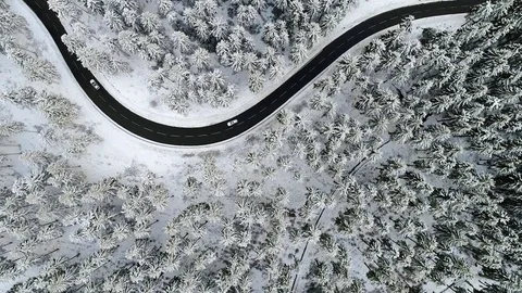 Road through the winter forest Stock-Footage 82918963