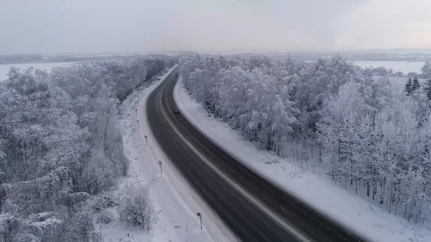 Road through winter forest Stock Footage 100242217