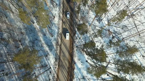 Road through winter forest Stock Footage 101079792