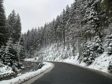 The road through the winter forest. A path in the mountains along a snowy roa Stock Photos