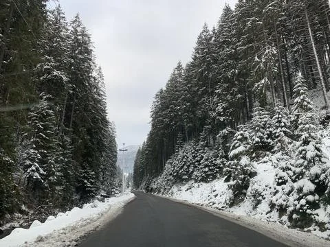 The road through the winter forest. A path in the mountains along a snowy roa Stock Photos