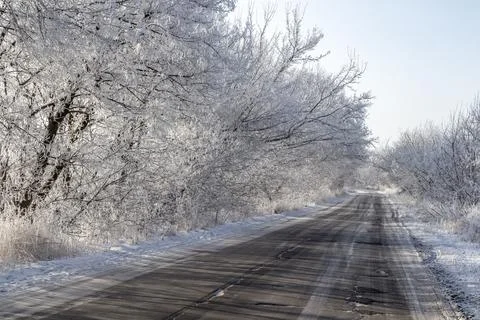 The road through the winter forest Stock Photos