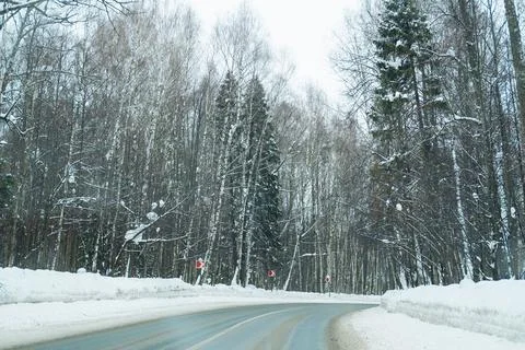 Road through the winter forest Stock Photos