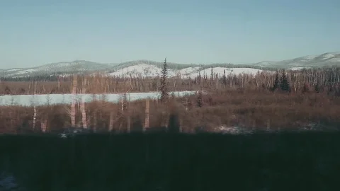 Road through the winter Siberian forest Vídeos de archivo 101960315