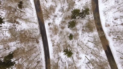 Road through the wintery forest Stock-Footage 71620227