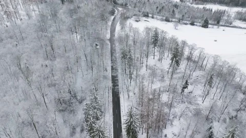 Road through wintery forest Видео 166066760