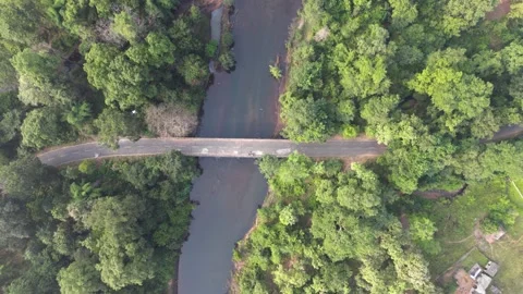 Road on top of river in the middle of forest 4k 30p drone shot Stock Footage 231289282