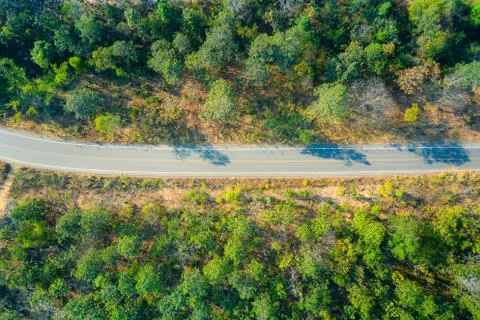 Road top view 库存照片