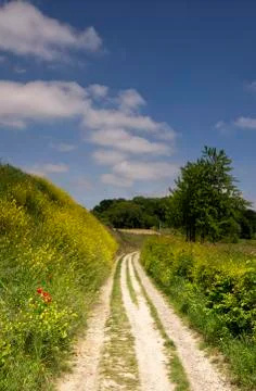 Road towards the Eyserbos Stock Photos