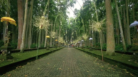 Road towards temple in Sangeh Monkey Forest 動画素材 88360268