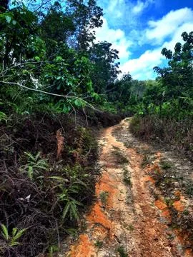 Off Road Track Stock Photos