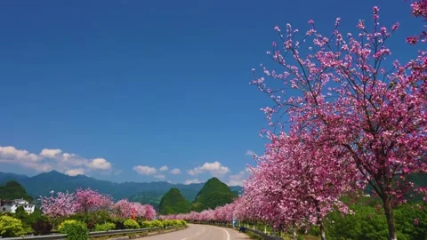 Road traffic in spring Stock Footage 180288002