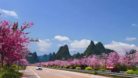 Road traffic in spring Stock Footage 180534601