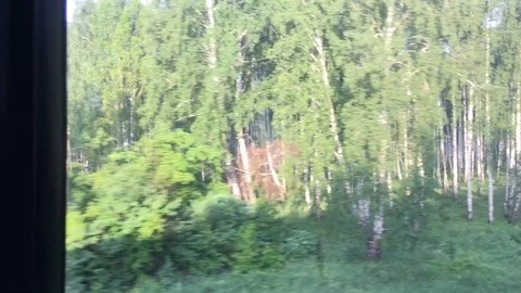 The road in the train in summer 動画素材 92263815