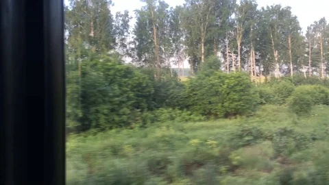 The road in the train in summer 動画素材 92263825