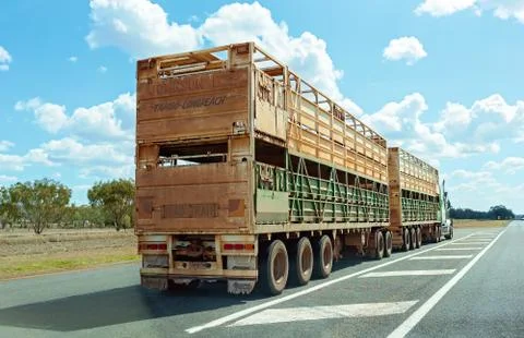 Road Train Transporting Cattle Stock Photos
