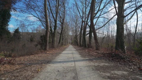 Road With Tree Both Side. 4K Footage in Turkey Stock Footage 147498794