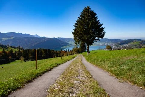Road with tree going off into the horizon. Going away Stock Photos