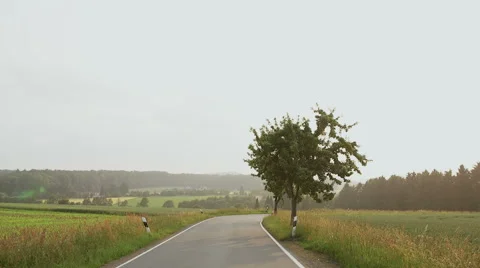 Road with a tree. The idealistic picture. Stock Footage 66382633