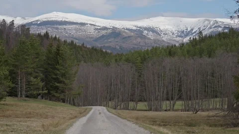 A road with trees in the background and a mountain in the distance Stock Footage 298054778