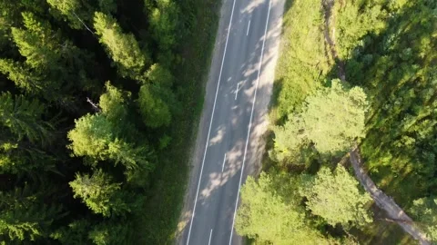 A road with trees in the background Stock Footage 303293266