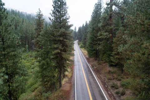 A road with trees on both sides and a few cars on it Stock Photos
