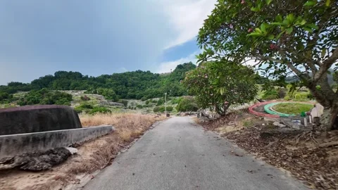 A road with trees on both sides at Chinese cemetery Vidéo 318091486