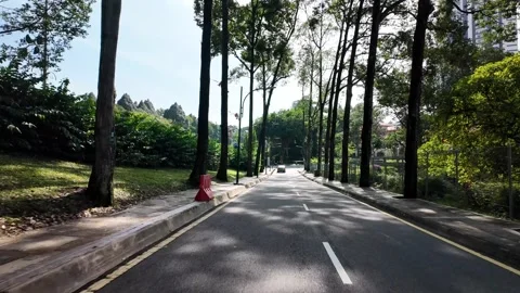 A road with trees on both sides Stock Footage 318272620