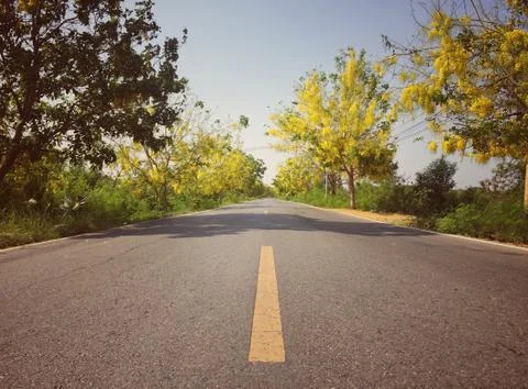 On the road trees on both sides Foto stock
