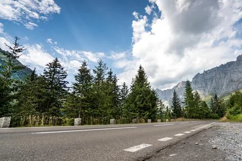 A road with trees on both sides Stock Photos
