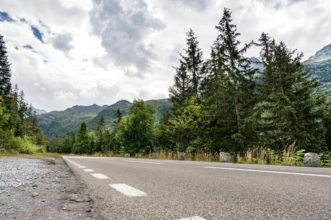 A road with trees on both sides Stock Photos
