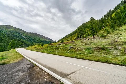 A road with trees on both sides Stock Photos