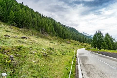 A road with trees on both sides Stock Photos
