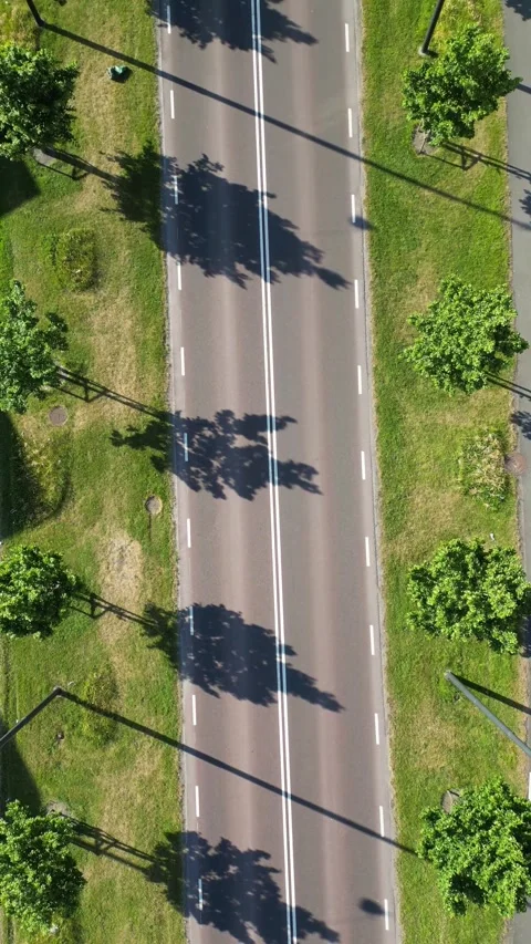 Road with trees on both sides v 3 Stock Footage 276506070